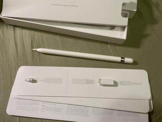 applepencil适用其他设备（applepencil可以用别的代替吗）-图1