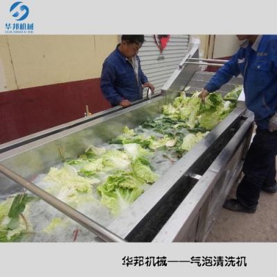 蔬菜清洗设备品牌（清洗蔬菜的机器哪个牌子好）-图3