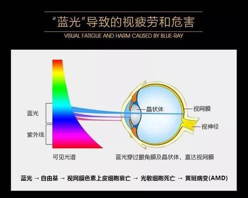 蓝光危害标准下载（蓝光的危害距离是多少）-图3