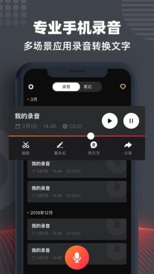 苹果手机录音专业设备（iphone专业录音app）-图2