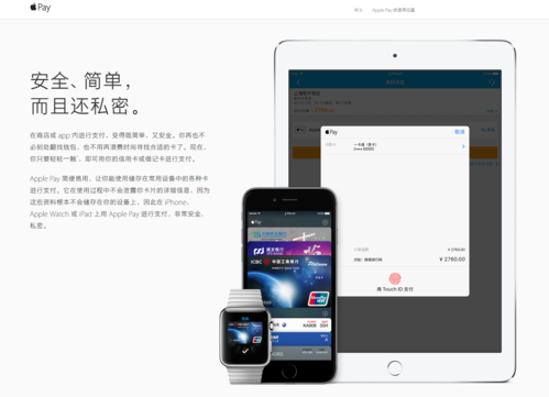 苹果支付设备中国（apple distribution international支付）-图3