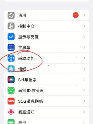 苹果设备屏幕亮度（iphone 屏幕亮度调节）-图1