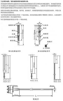 铂电阻标准结构（铂电阻标准结构图）