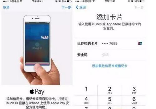 applepay完整设备卡号（applepay设备卡号什么意思）-图2