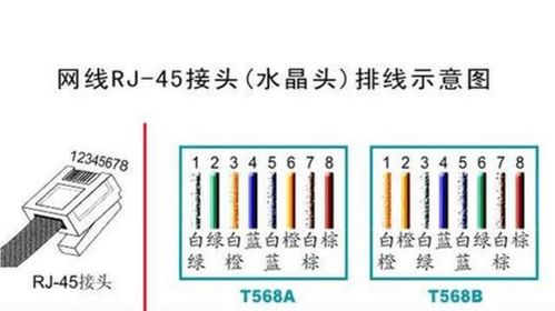 水晶头国家标准（水晶头国际标准）-图3