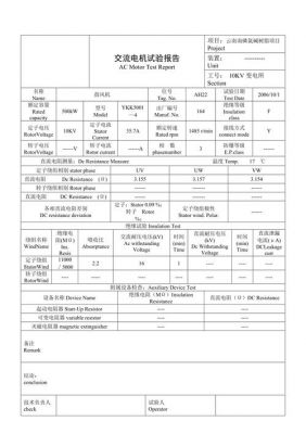 高压电机实验国家标准（高压电机试验报告范本）-图3
