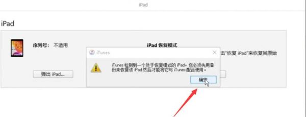 找回苹果设备ipad（找回ipad id）-图3