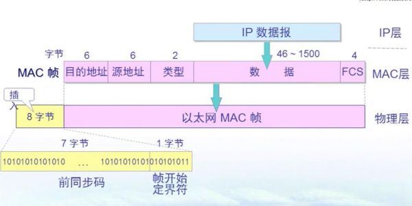 标准以太网传输速率（标准以太网传输的帧取值范围）