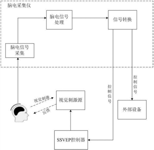 bp脑电采集设备（脑电采集电路）-图3