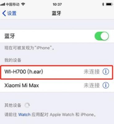 iphone蓝牙其他设备驱动（iphone蓝牙其他设备是什么意思）-图3