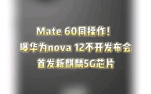 华为拿下5g短码标准吗（华为5g“秀肌肉”发布5g芯片）