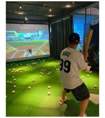 室内虚拟棒球设备（模拟棒球场）