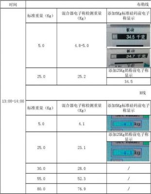 电子秤量程标准（电子秤量程标准规范）-图1