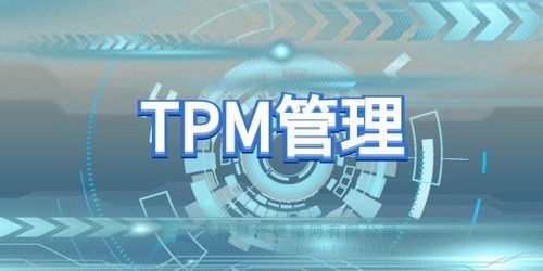 tpm安全设备（tpr 安全）-图2