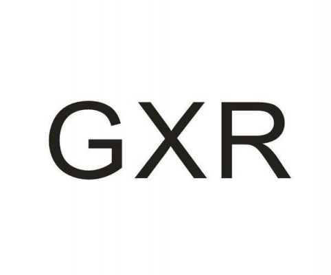 GXR代表什么设备（gxr是）-图1