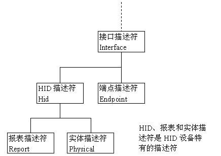 标准hid描述（描述标准常见的有哪些形式）