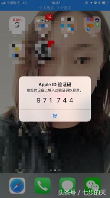 苹果账号登陆别的设备（iphone账号在别的设备登陆）-图3