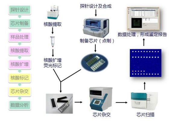 芯片贮存要求标准（芯片贮存要求标准是多少）