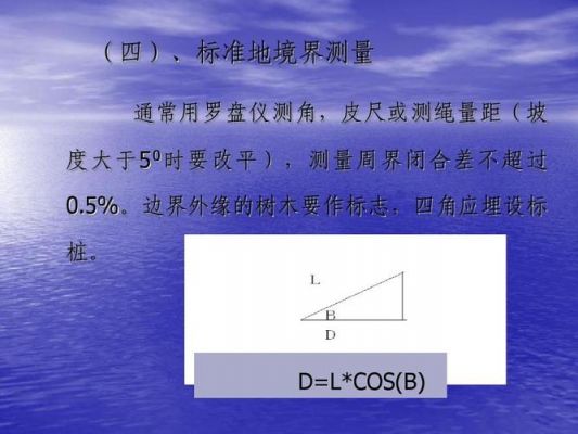 标准地周界测量用（在进行标准地境界测量时标准地周界测量用什么）