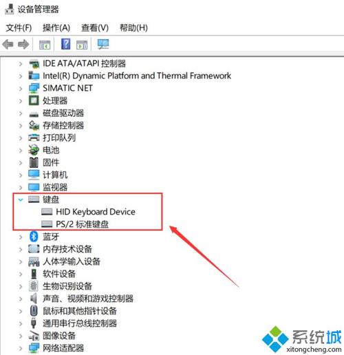 设备管理没有键盘选项（设备管理没有键盘选项怎么回事）-图3