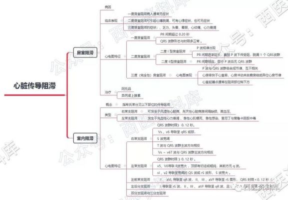 体表心电图设备（体表心电图思维导图）-图2