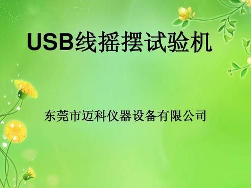 usb摇摆测试标准（摇摆器有什么作用）-图3