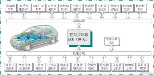 汽车总线标准都有哪些（汽车总线标准都有哪些规格）