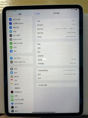 iPad麦克风设备（ipad2021麦克风启用不成功）-图2