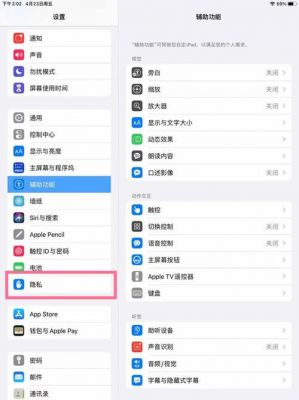 iPad麦克风设备（ipad2021麦克风启用不成功）-图1