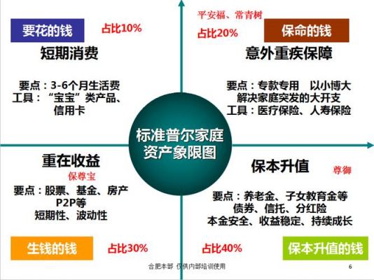 美国标准v（美国标准普尔家庭资产配置图）-图1