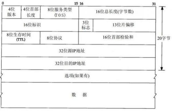 网络视频标准协议（网络视频标准协议怎么写）-图2