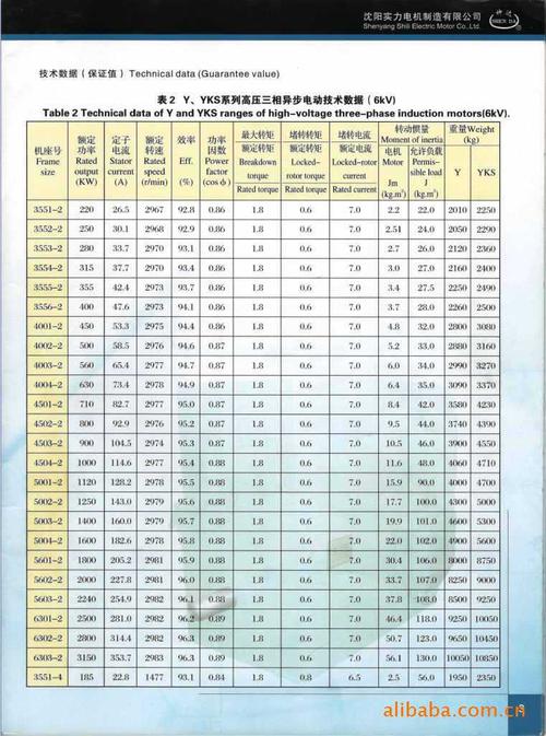 高压电机泄漏电流标准（高压电机交流漏电流标准）-图3