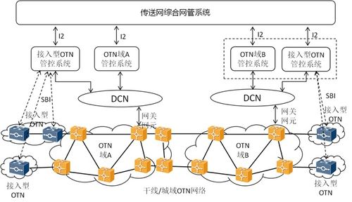 otn设备安装（otn设备连接图）