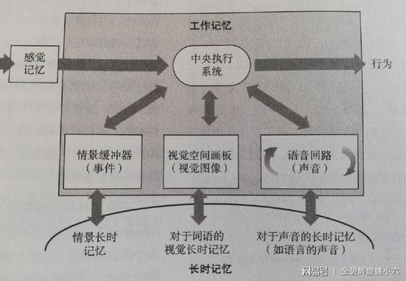 标准记忆模型（记忆模型的种类）-图1