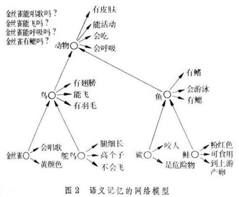 标准记忆模型（记忆模型的种类）-图3