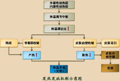 设备发热（设备发热的主要原因）