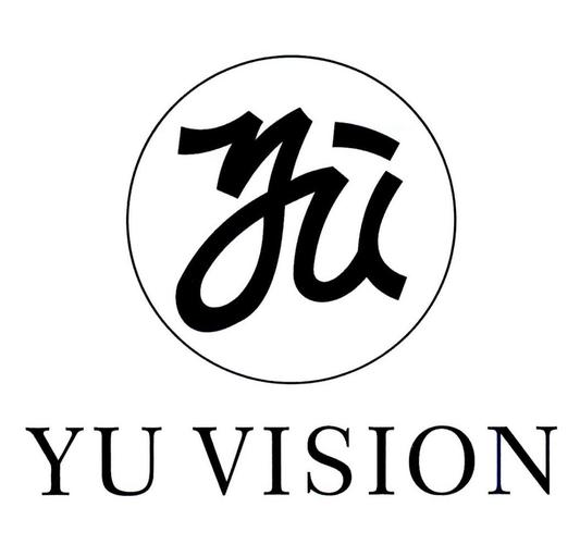 vision标准（vision log）-图2