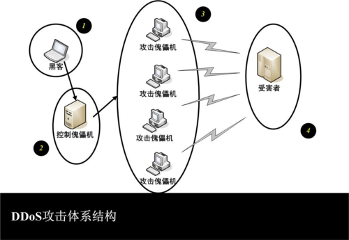 攻击保护设备（dos攻击保护）