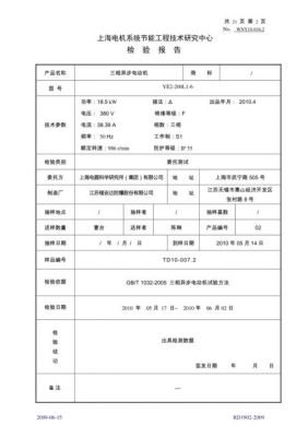 电动机检验标准（电机质量检验标准报告范本）-图3