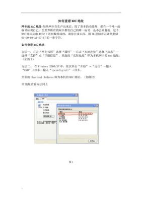 设备信息mac地址吗（设备的mac）-图1