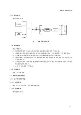 10gepon标准（p100标准）