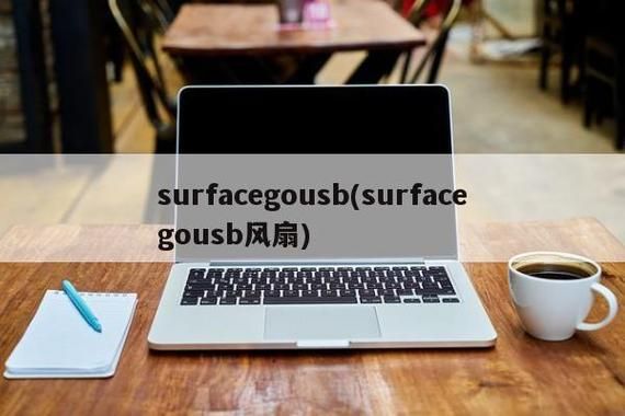 surfacegousb设备（surface us）