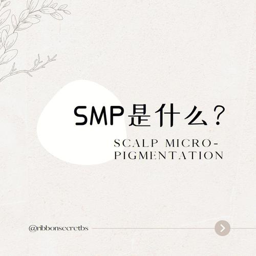 smp-max标准（smp指什么）-图1